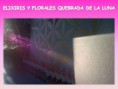 NUEVOS FLORALES DE QUEBRADA DE LA LUNA-ESENCIAS- ÓLEOS PROTECTORES- ELIXIRES